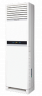Колонная сплит-система ENERGOLUX CABINET SAP60P2-A/SAU60P2-A-WS30